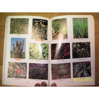 Sol Meltzer's Herb Gardening in Texas Sol Meltzer 9780884153290 Books