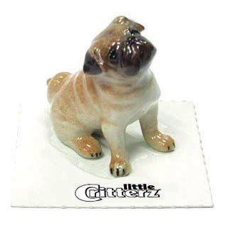 PUG Dog "Button" FAWN Puppy Sits and looks up MINIATURE New Porcelain LITTLE CRITTERZ LC815   Collectible Figurines