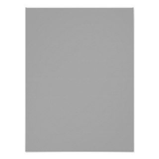 Light Gray Fashion Grey Color Trend 2014 Blank Print