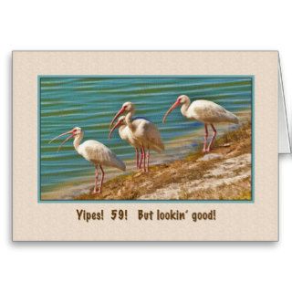 Birthday, 59th, Ibis Birds Cards
