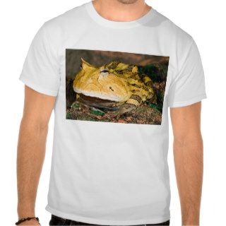 Brazilian Horn Frog, Ceratophrys cornuta, 3 T Shirt