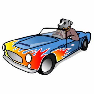 Cartoon Dog Driving a Car Photo Cut Outs