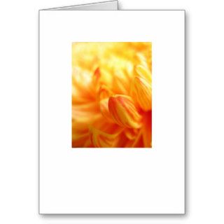 Chrysanthemum greeting card