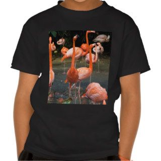A number of Flamingos Tshirt