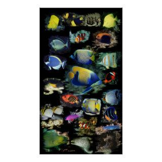 Ultimate Reef Fish Poster