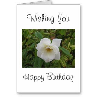 White Rose Birthday Card
