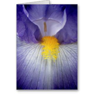 Iris Greeting Cards