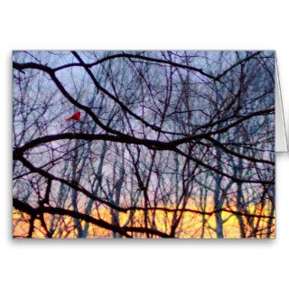 Sunset & A Red Cardinal Blank Greeting Card