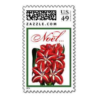 Red and White Christmas Amaryllis Noel Postage Stamps