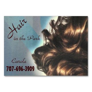 Hair in the Park   Business Cards