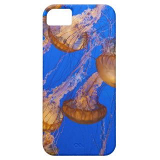Pack of Jelly Fish iPhone 5 Cover