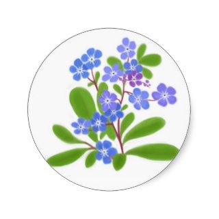 Forget Me Not Flowers Stickers