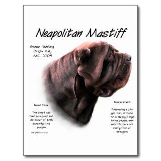 Neapolitan Mastiff (mahogany) History Design Post Cards