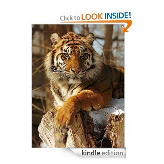 Critical Mass Some Of The MOST Endangered Animals On The Planet eBook Roger Thatt Kindle Store