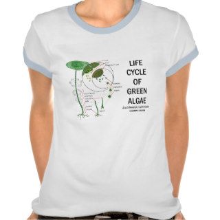 Life Cycle Of Green Algae Shirts