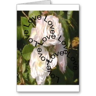 Love Love Love White Rose GreetingsCard