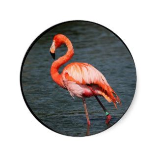 BIRD Flamingo Round Sticker
