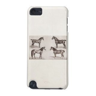 Vintage Horse Arabian Hunter Horses Illustration iPod Touch 5G Cases
