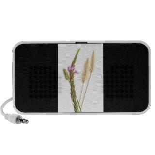 Fuzzy and purple flowers with green stems speaker