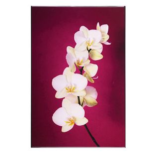 Graham & Brown Lacquered Orchid fuschia wall art