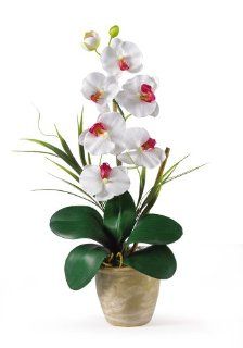 Nearly Natural 1016 WH Phalaenopsis Silk Orchid Flower Arrangement, White   Artificial Plants