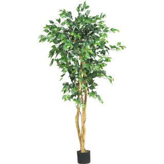 Nearly Natural 5208 Ficus Artificial Tree with Curved Trunk, 5 Feet, Green  