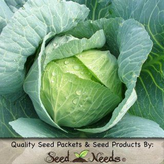 100 Seeds, Cabbage "Golden Acre" (Brassica oleracea) Seeds By Seed Needs  Vegetable Plants  Patio, Lawn & Garden