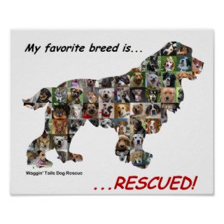 My Favorite Breed is Rescued poster