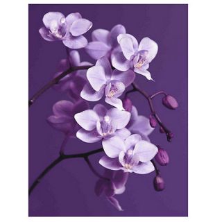 Graham & Brown Purple Orchid Wallart