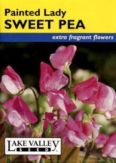 Lake Valley 1220 Sweet Pea Old Spice Painted Lady Heirloom Seed Packet Patio, Lawn & Garden