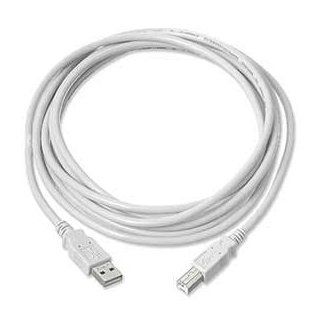 100% Compatible High Speed USB 2.0 A   B Cable for Printers or Scanners. Fits HP, Lexmark, Epson, Canon, Lenovo and Many Others Computers & Accessories