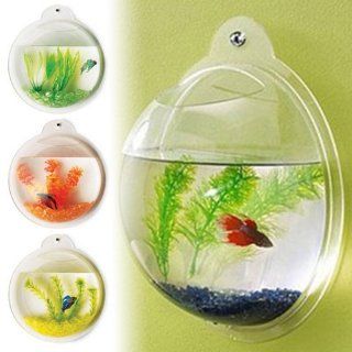 Fish Bubble   Deluxe Acrylic Wall Mounted Fish Tank w/Bonuses Health & Personal Care