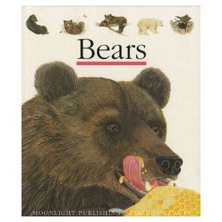 Bears (First Discovery S) Laura Bour 9781851031450  Children's Books