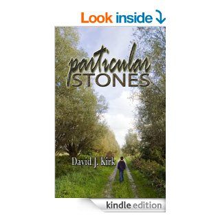 Particular Stones eBook David J. Kirk Kindle Store