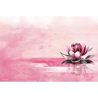 Maxwell Dickson 'Pink Lotus' Modern Canvas Wall Art Maxwell Dickson Canvas
