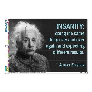 Graphics and More Definition of Insanity Einstein Funny MAG NEATO'S Novelty Gift Locker Refrigerator Vinyl Puzzle Magnet Set  