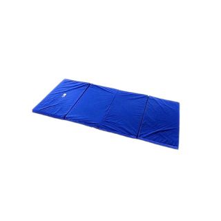 Gofit Aerobic Blue Vinyl Mat Gofit Yoga/Pilates