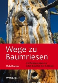 Wege zu Baumriesen 20 Rundwanderungen zu alten Bumen der Schweiz Michel Brunner Bücher