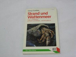 Strand und Wattenmeer  Tiere und Pflanzen an Nord  und Ostsee , ein Biotopfhrer. Bücher