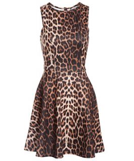 Leopard Print Sleeveless Skater Dress