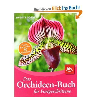 Das Orchideen Buch fr Fortgeschrittene Brigitte Goede Bücher