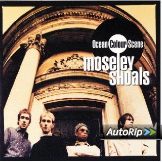 Moseley Shoals Musik