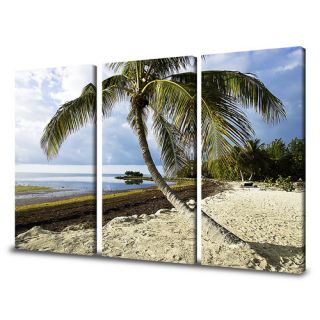Ready2hangart Beach Palm by Bruce Bain 3 Piece Photographic Printt
