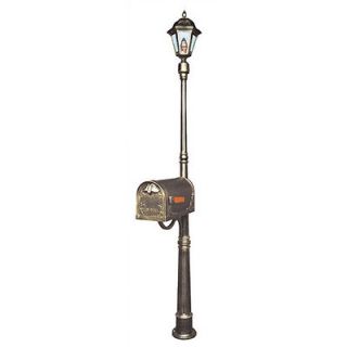 Special Lite Products Ashland Mailbox/Post Light Combination Pole