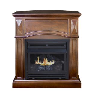 Dual Fuel Vent Free Gas Fireplace by Pleasant Hearth