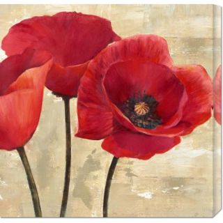 Big Canvas Co. Cynthia Ann Red Poppies (detail) Stretched Canvas