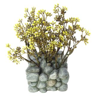 Fluval Chi Plant with Pebble Base Ornament