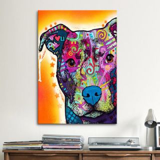 Brown Pit bull Brown Eyes Look 1 by Mark Ashkenazi Graphic Art by