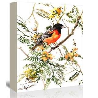 Baltimore Oriole Painting Print on Gallery Wrapped Canvas