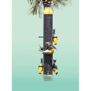 Upside Down Anti House Finch Feeder by Perky Pet